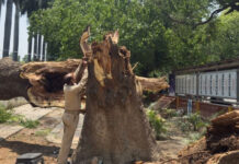 Mueren casi 100 personas en India por tormentas de polvo, lluvias intensas y rayos