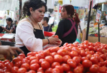 Precio del jitomate se dispara nuevamente, y no por Trump: ¿Por qué motivo es más caro en México y EU?
