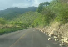 Reportan caída de piedras y ramas sobre la carretera 190 en el tramo Oaxaca-Istmo