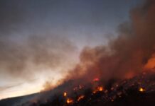 Oaxaca, una de las seis entidades como mayor destrucción por incendios forestales; en seis meses, 29 mil 389 hectáreas consumidas por el fuego