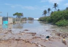 Mar de fondo deja afectaciones en la Costa e Istmo; autoridades piden extremar precauciones