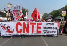 Comienza CNTE “reorganización” de plantón nacional tras primeros 15 días de paro; Sección 22 repite esquema de protestas en Oaxaca