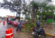 Vehículo con daños, caída de árbol y calles con encharcamientos severos en Centro Histórico y Central de Abasto, el saldo de la lluvia de ayer