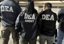 “Hay una conexión mortal entre los cárteles y el gobierno mexicano, son lo mismo”, alerta la DEA