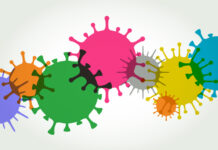 Brote de ciclosporiasis: ¿qué se sabe de este parásito?
