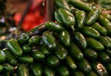Cofepris investiga planta de chiles jalapeños por brote de salmonela en EU