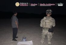 Recuperan en Oaxaca alrededor de 5 mil 100 huevos de tortuga gofina que serían distribuidos en el mercado negro