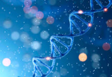 ¿Naces? ¿Te haces? o ¿Está escrito en tus genes?