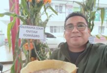 Maestro y activista triqui junto con su hija de tres años resultan gravemente heridos tras ataque armado en San Andrés Chicahuaxtla, en la Mixteca de Oaxaca